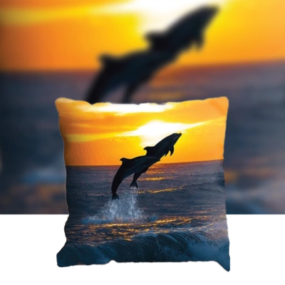  Cushions