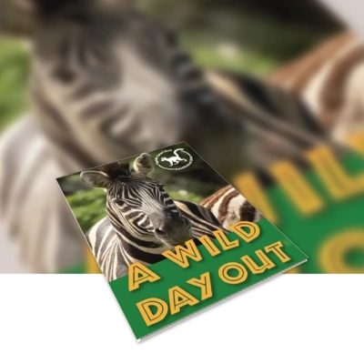 Rigid Signs