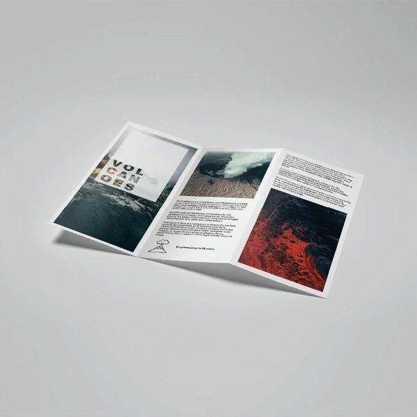 DL 6pp Folded Leaflet